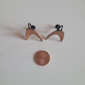 Stylish Crescent Earrings